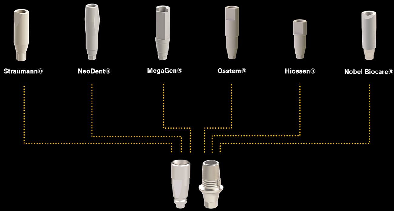 Convert 200+ brand scan bodies to Edison Medical Ti-Base